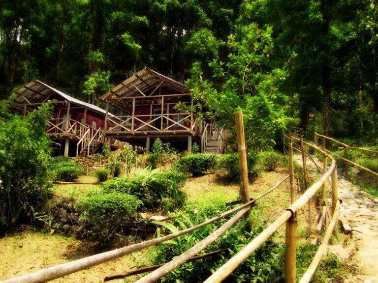 0749cc0ac8e09311864cde80afe07a94 768x576