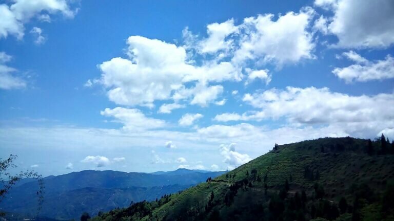 13243776 462834347248892 1346945659570417993 o 768x432