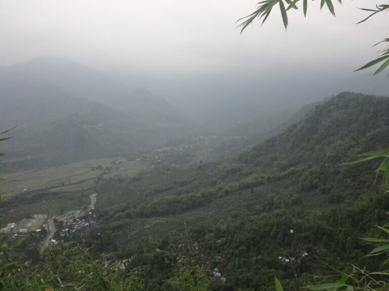 19143904 196415150881896 96910140350933267 o 768x576