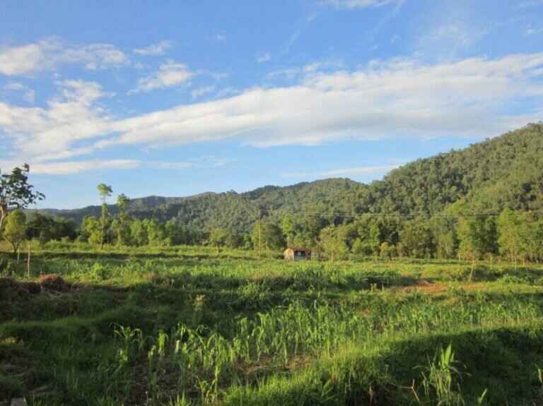 19417112 203009133555831 6472399253879524097 o 768x575