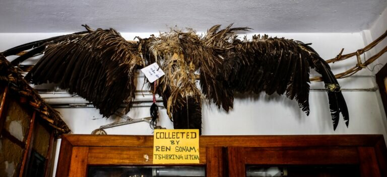 1 ldZzmXmiocc GCywNBVTPg 768x352