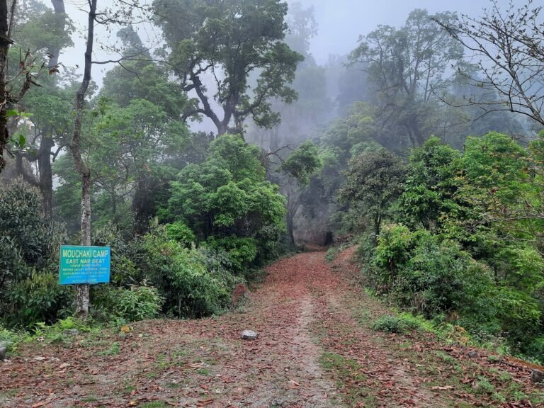 20210401 172653 768x576