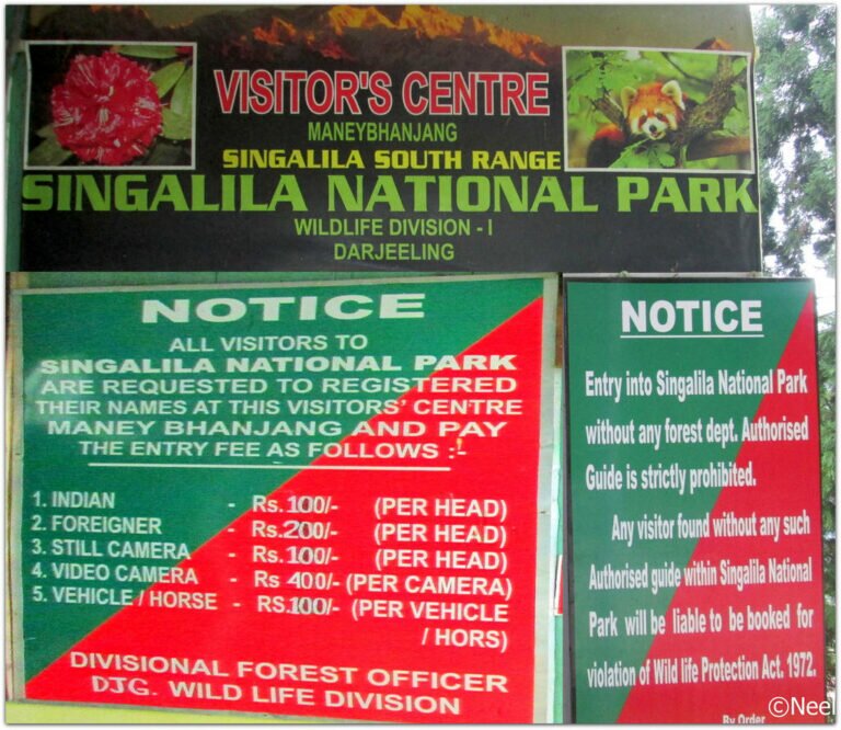 23544404132 a65a8f2bde b 768x666