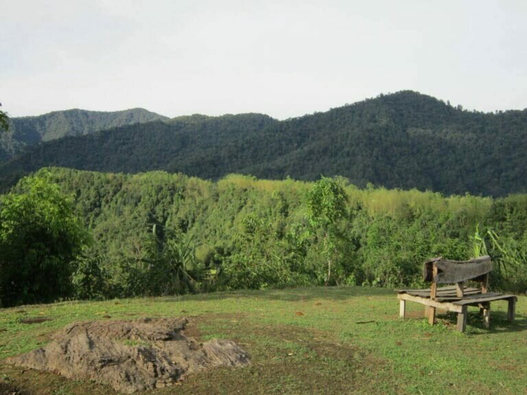 24785373 271175663405844 5814450858005104145 o 768x576