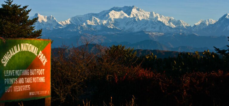 3b6dd3c413edb51f79ed4fc9642714d7 768x357