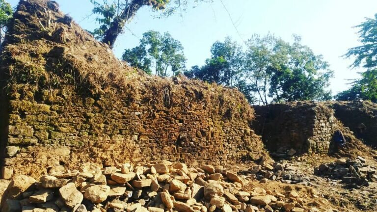 49432694 497734267416648 1974682566627688448 n 768x432