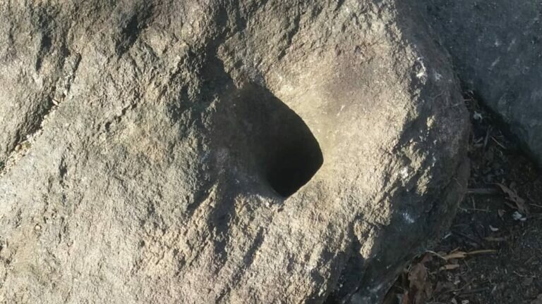 49581036 497734417416633 6417321283624632320 n 768x432