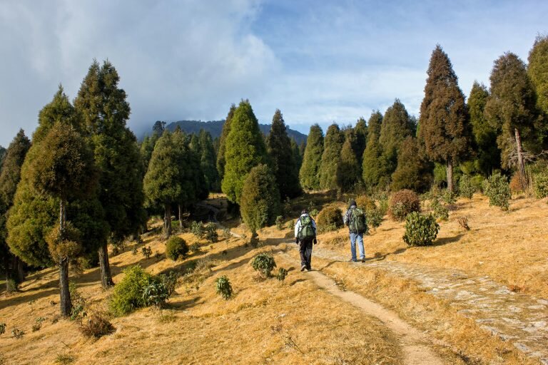 7a38ca6502b25e050737a715af0ef47b 768x512