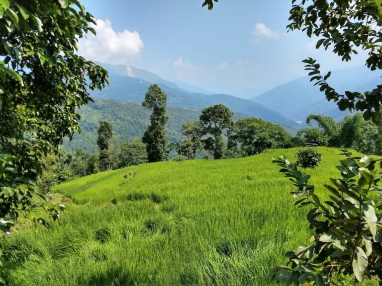 Baramangwaphotos 2 768x576