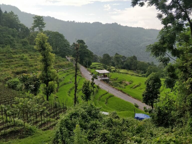 Baramangwaphotos 3 768x576