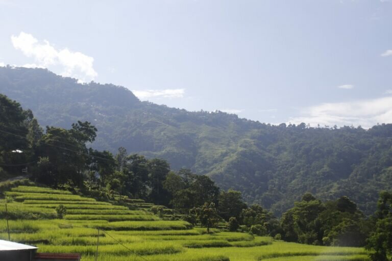 Baramangwaphotos 4 768x512