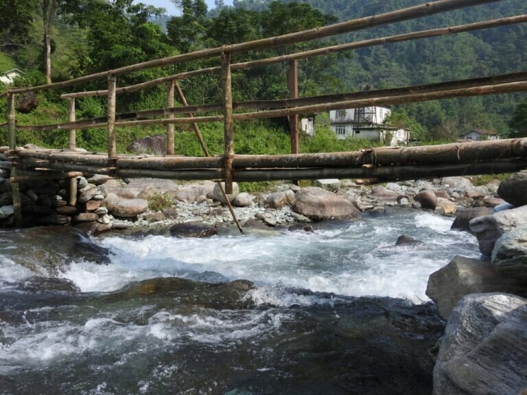 IMG 20200805 WA0012 768x576