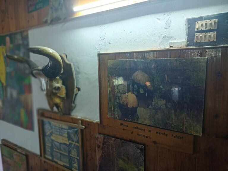 IMG20201109124611 00 768x576