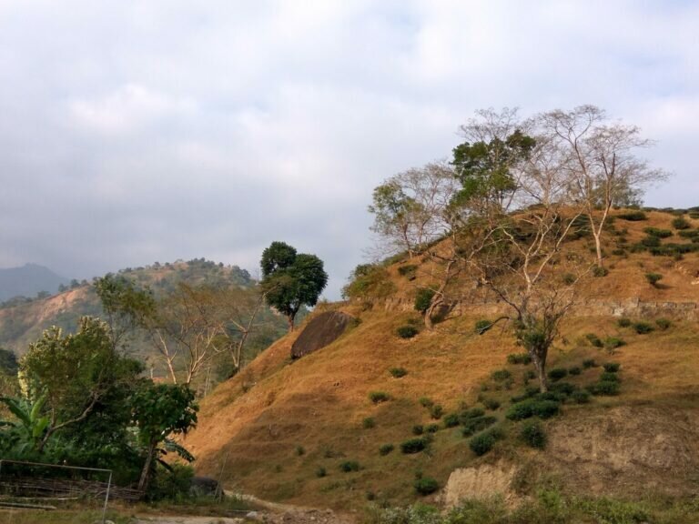 IMG 20161126 145856 HDR 768x576