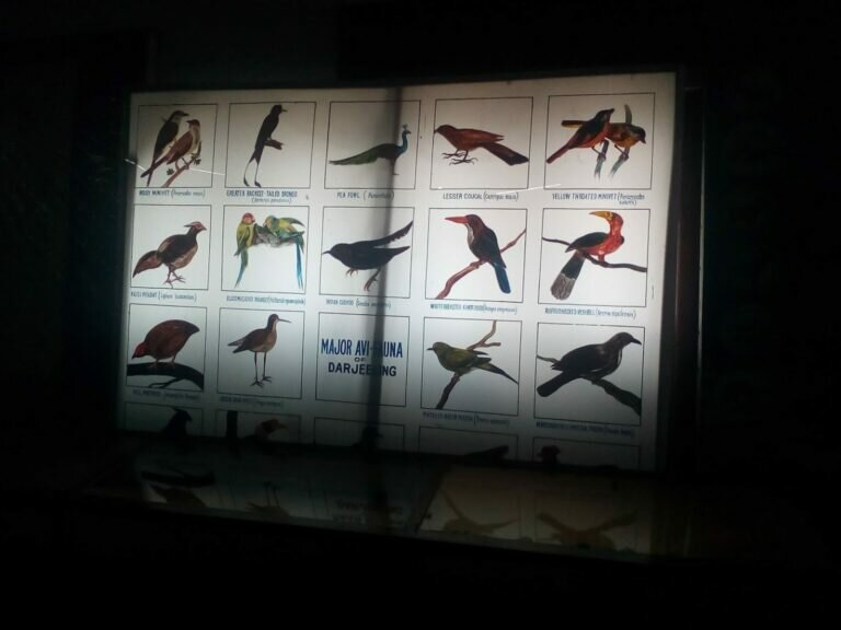 IMG 20190610 125255 768x576