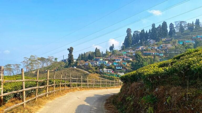 Mim Tea Garden Homestay 32 768x432