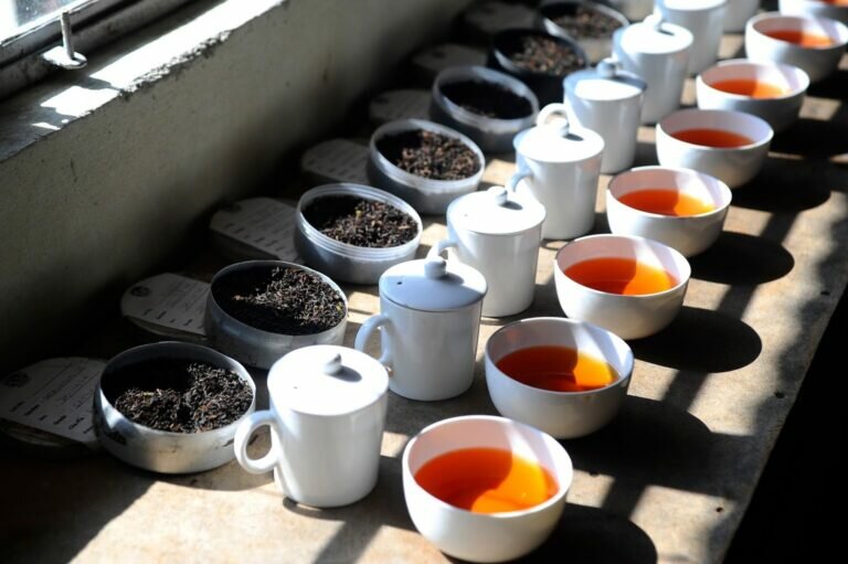 Taste teas from our estates Singtom and Steinthal 768x511